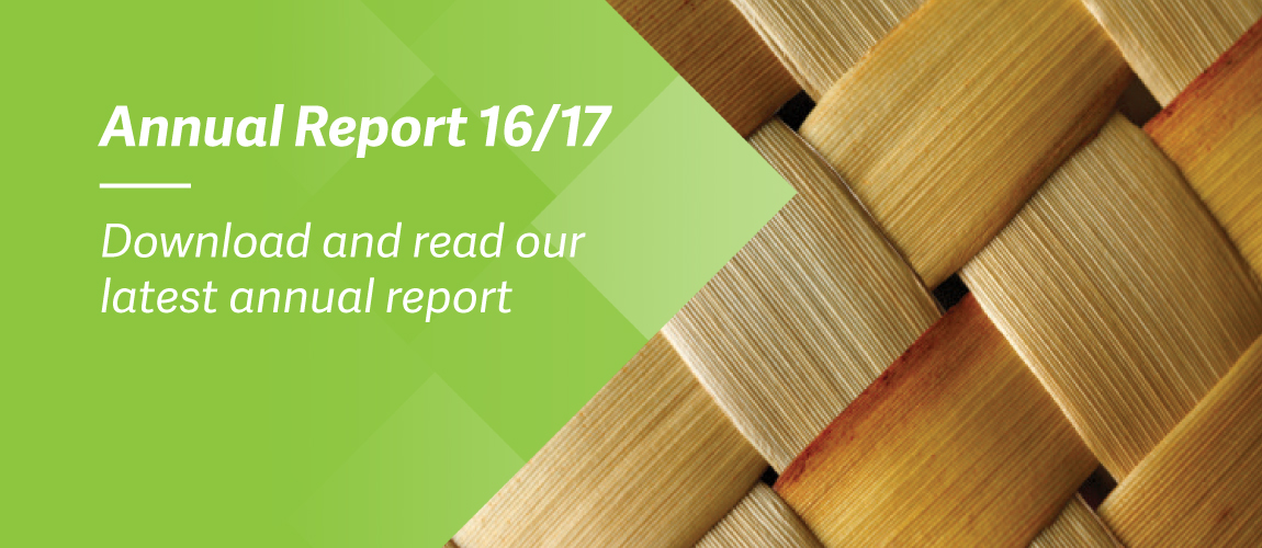 Ngati_Kahungunu_Annual-Report_WebBanner