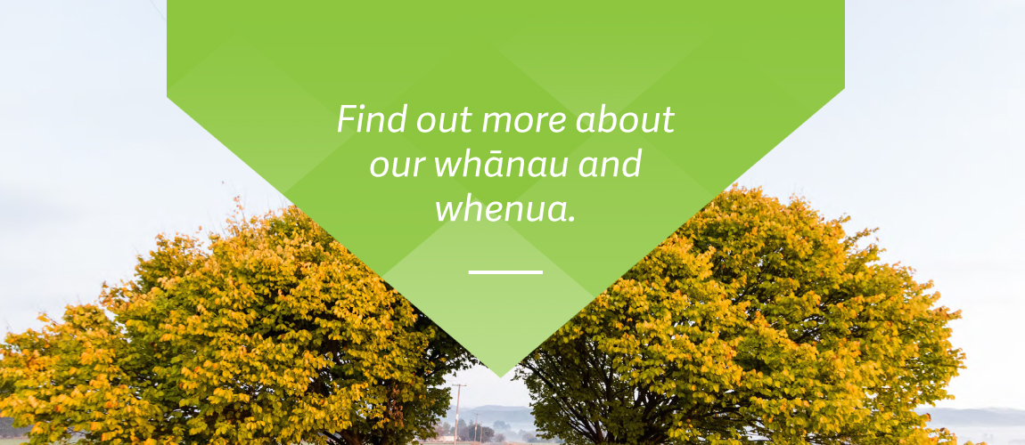 Ngati_Kahungunu_Our-Whanau-and-whenua_WebBanner-2